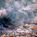 Renaissance Wave   Hawaii