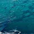 A Wave's Beating Heart